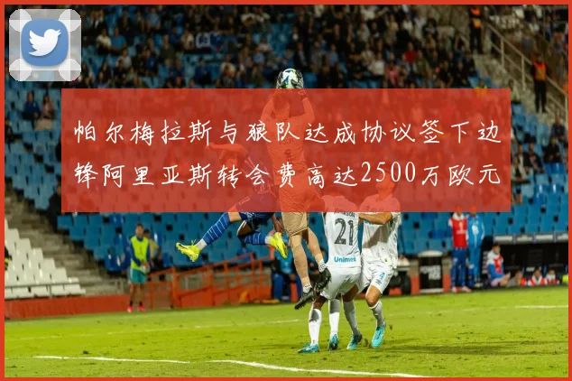 帕尔梅拉斯与狼队达成协议签下边锋阿里亚斯转会费高达2500万欧元